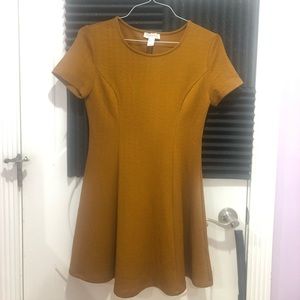 Dark Mustard Skater Dress (never worn)